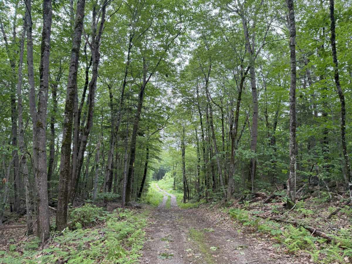 Talcott Road to Old Stage Road photo 3