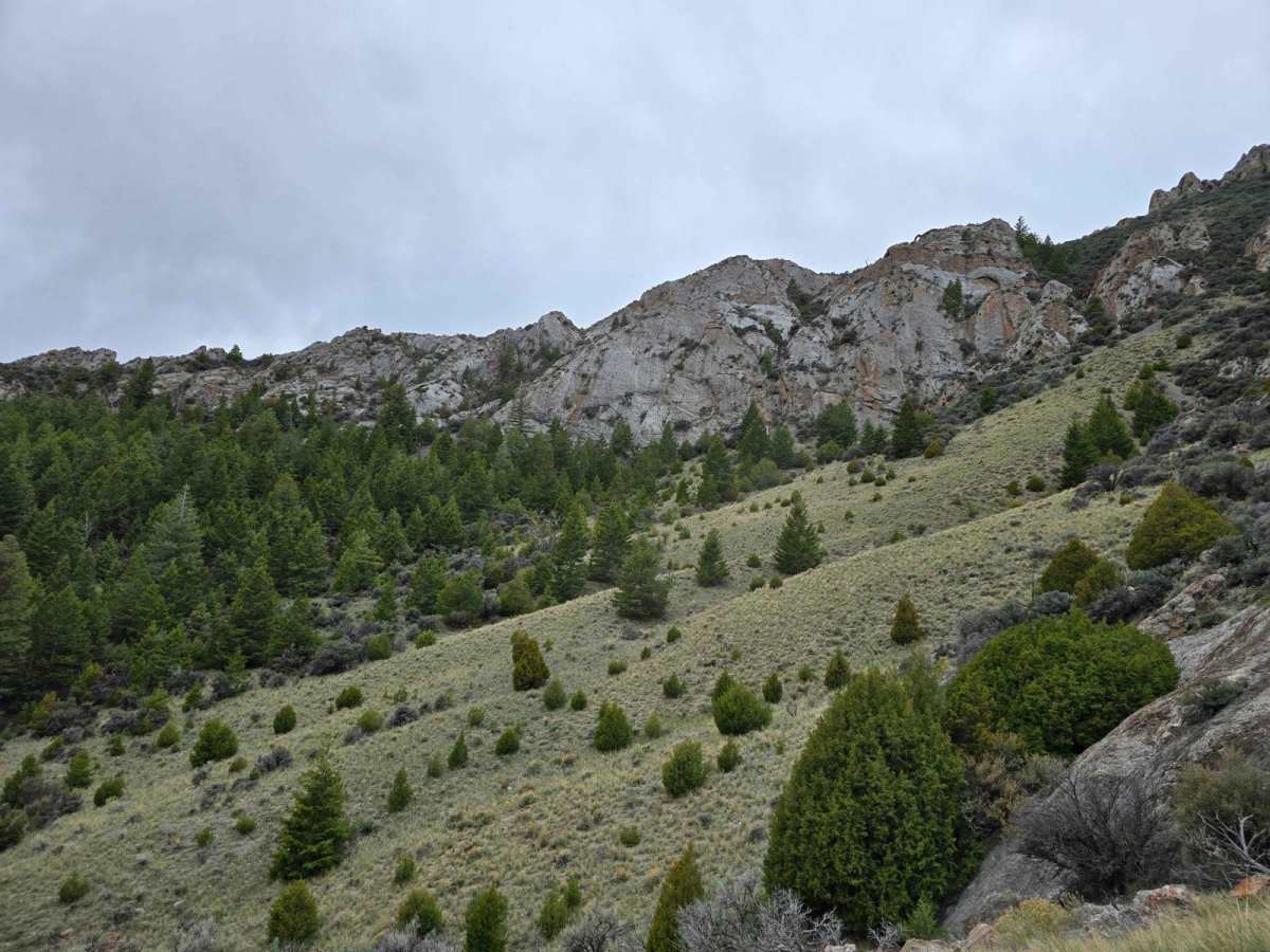 Pierce Canyon to Skull Canyon Loop photo 3