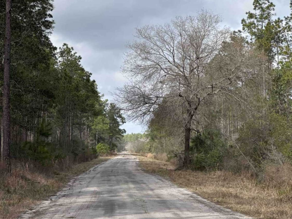 Jet Engine Road photo 5