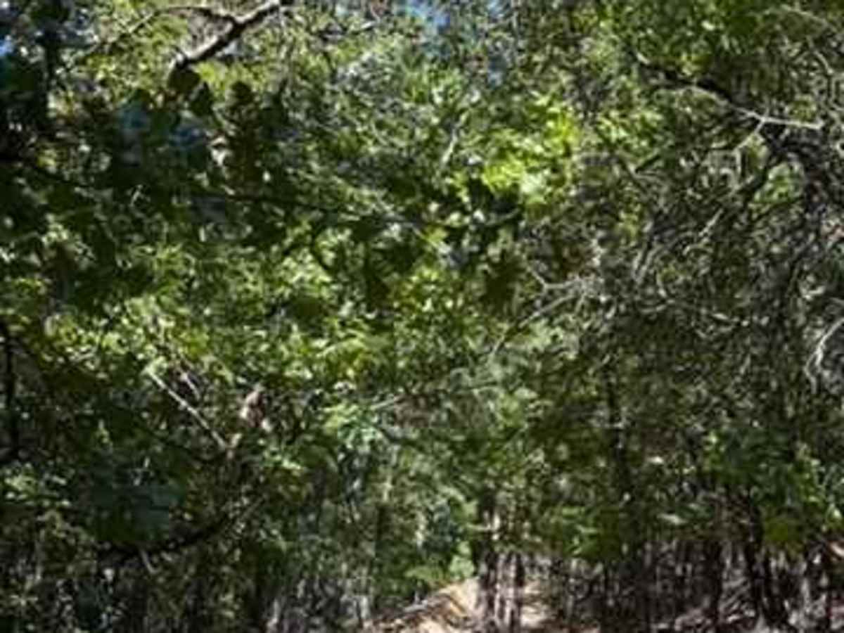 H24 photo 4