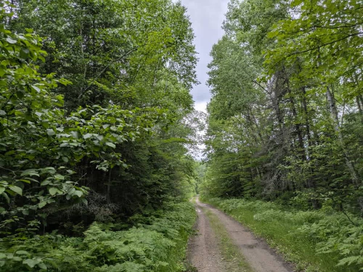 Old Angora Road trail photo