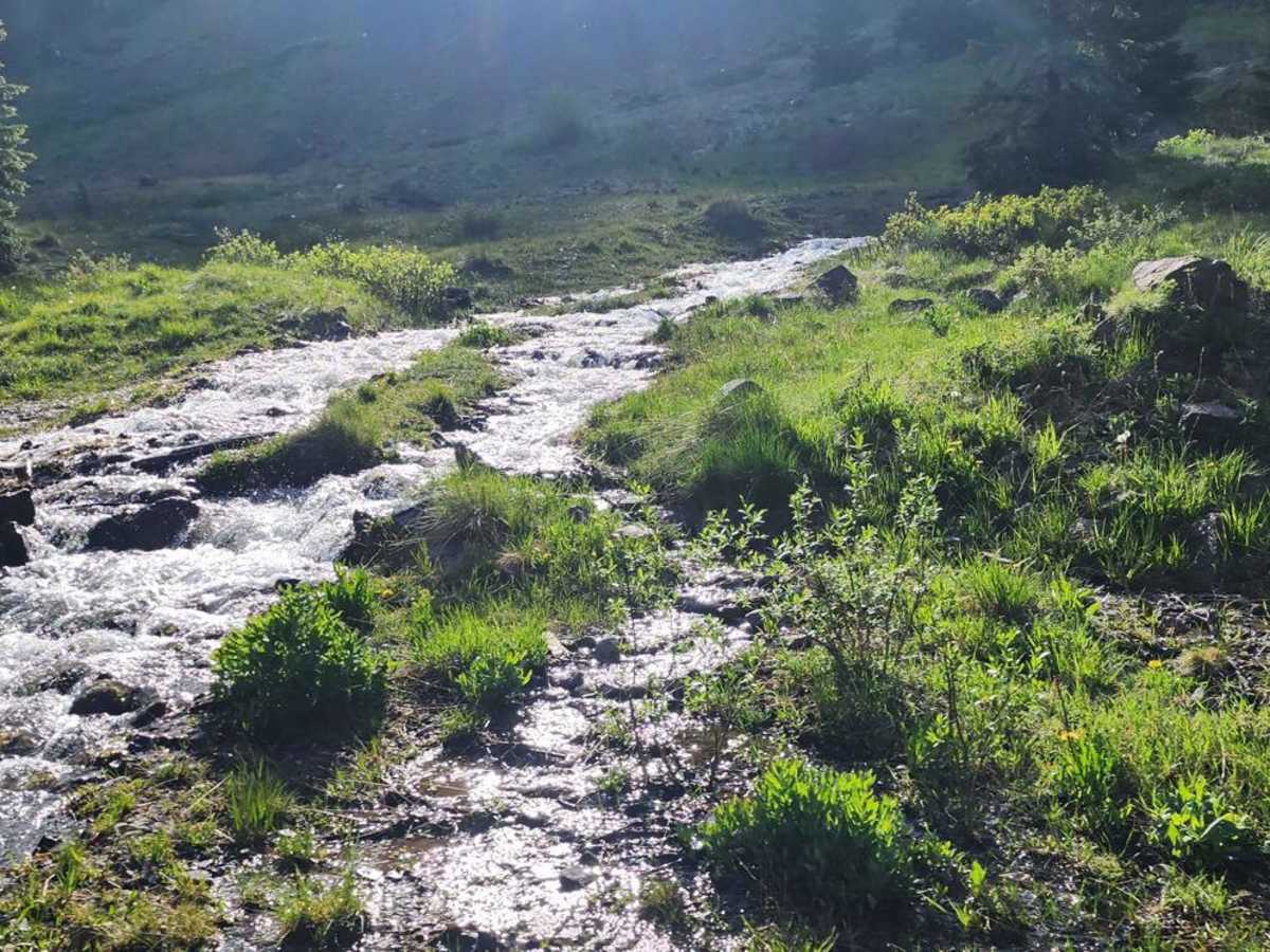 North Henson Creek Road photo 4