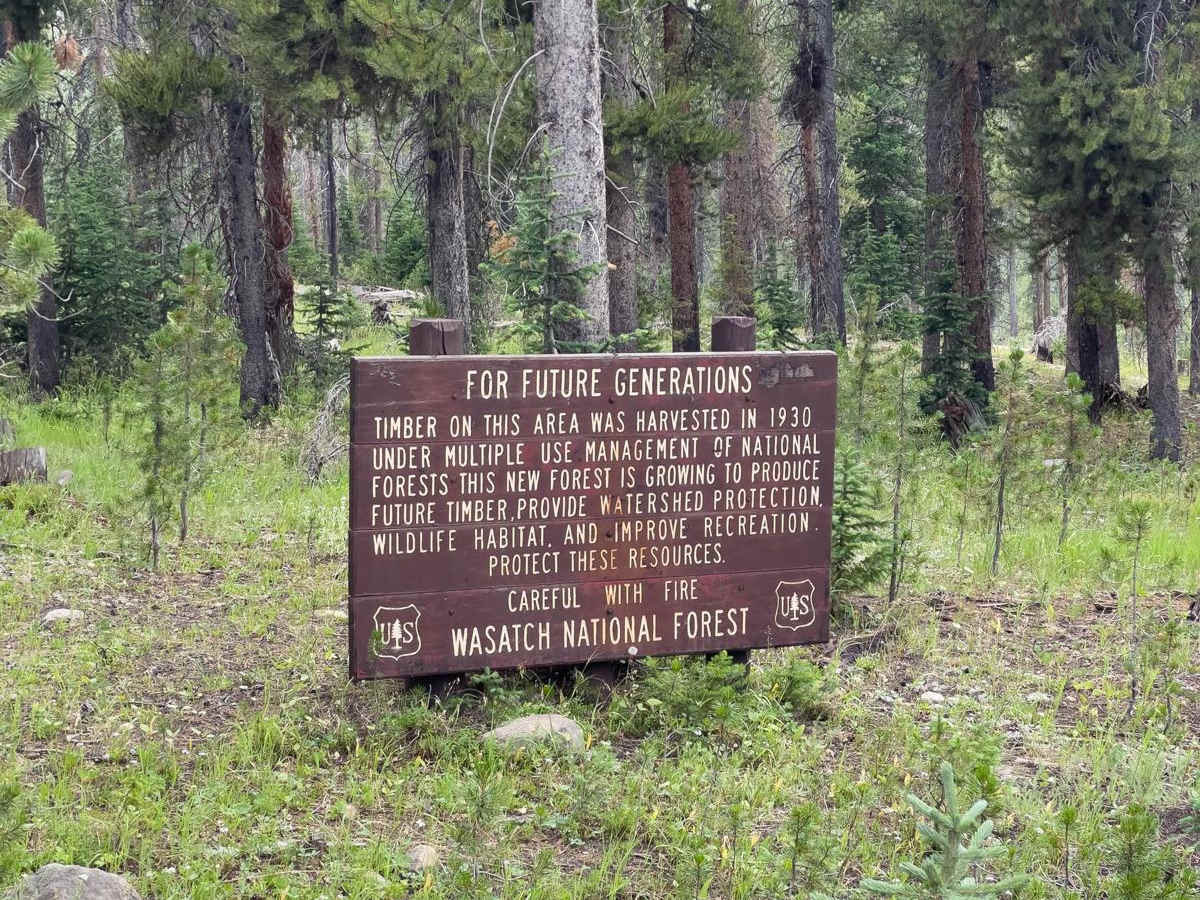 Murdock Basin - FR 80137 photo 3