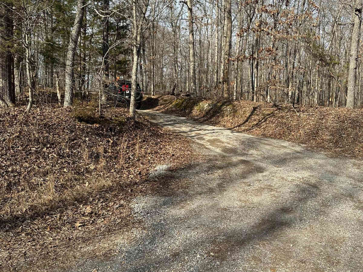 Stephens Chapel Road - FSR 415 photo 2