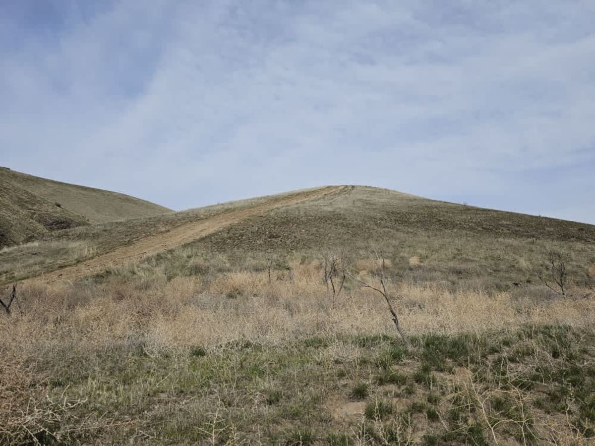 Tumbleweed Ravine photo 3