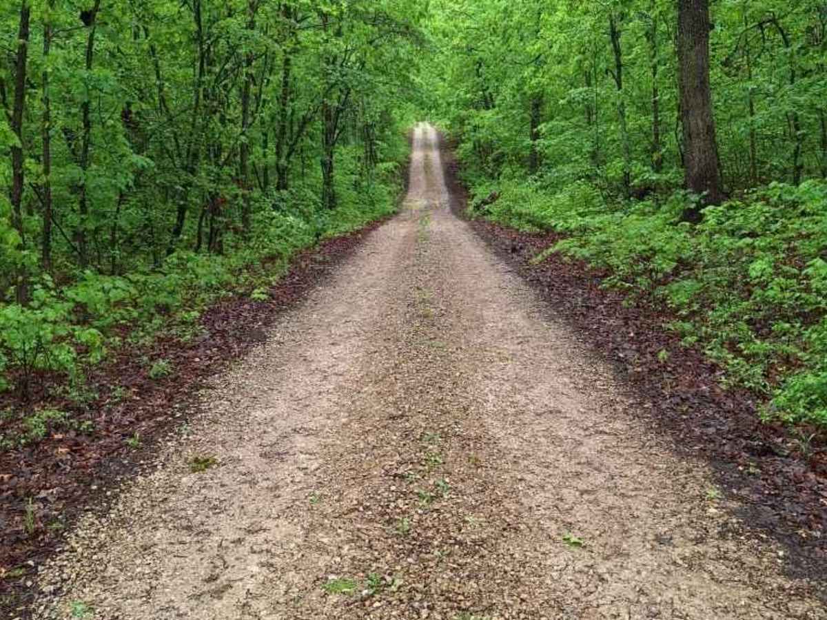 Anderson Hollow (FSR 2168) photo 5