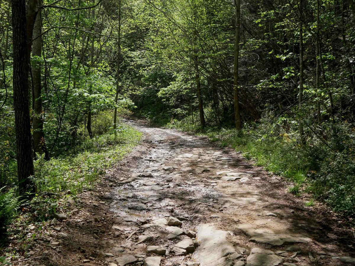 PC 55 trail photo
