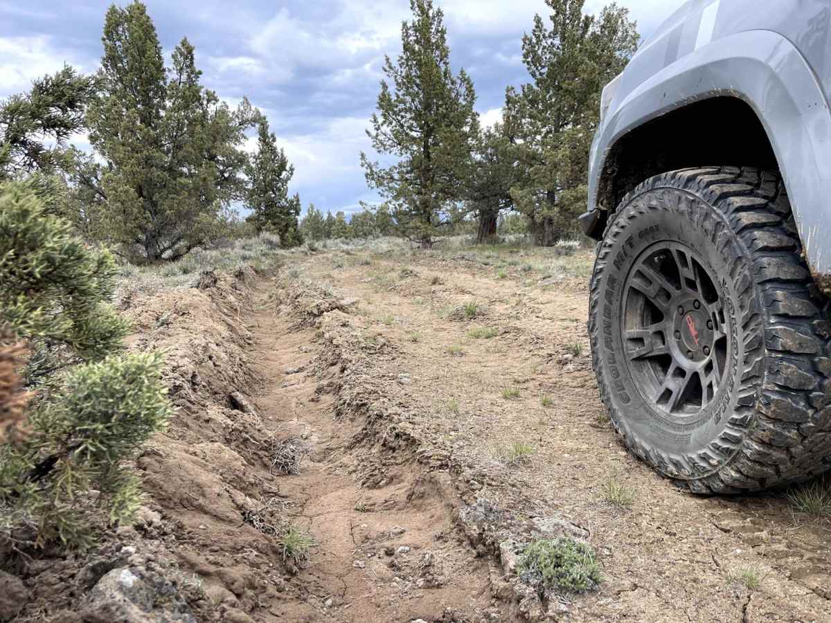 Dirt Road Dash photo 3