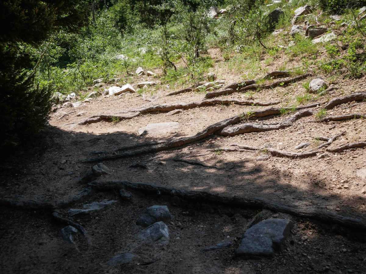 Dry Fork #3329  photo 3