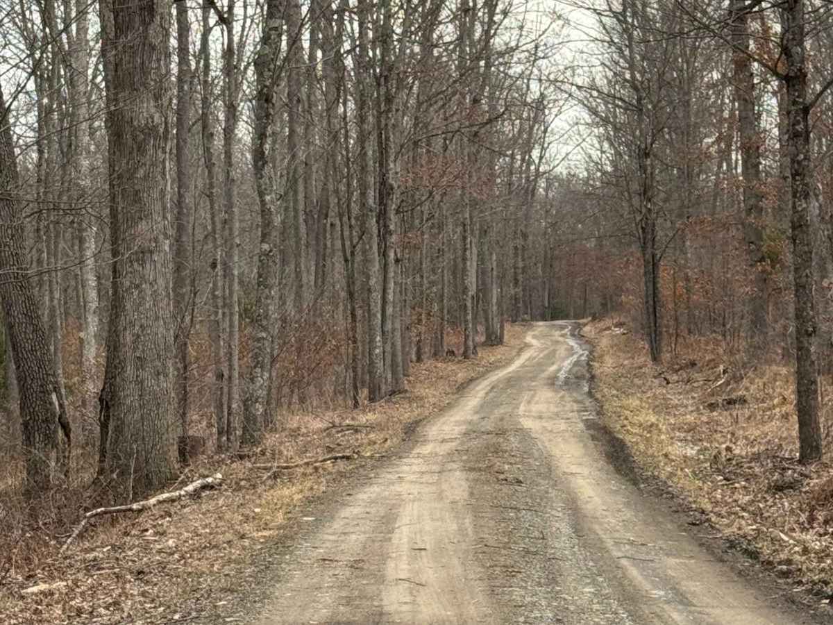 Clubhouse Road photo 5
