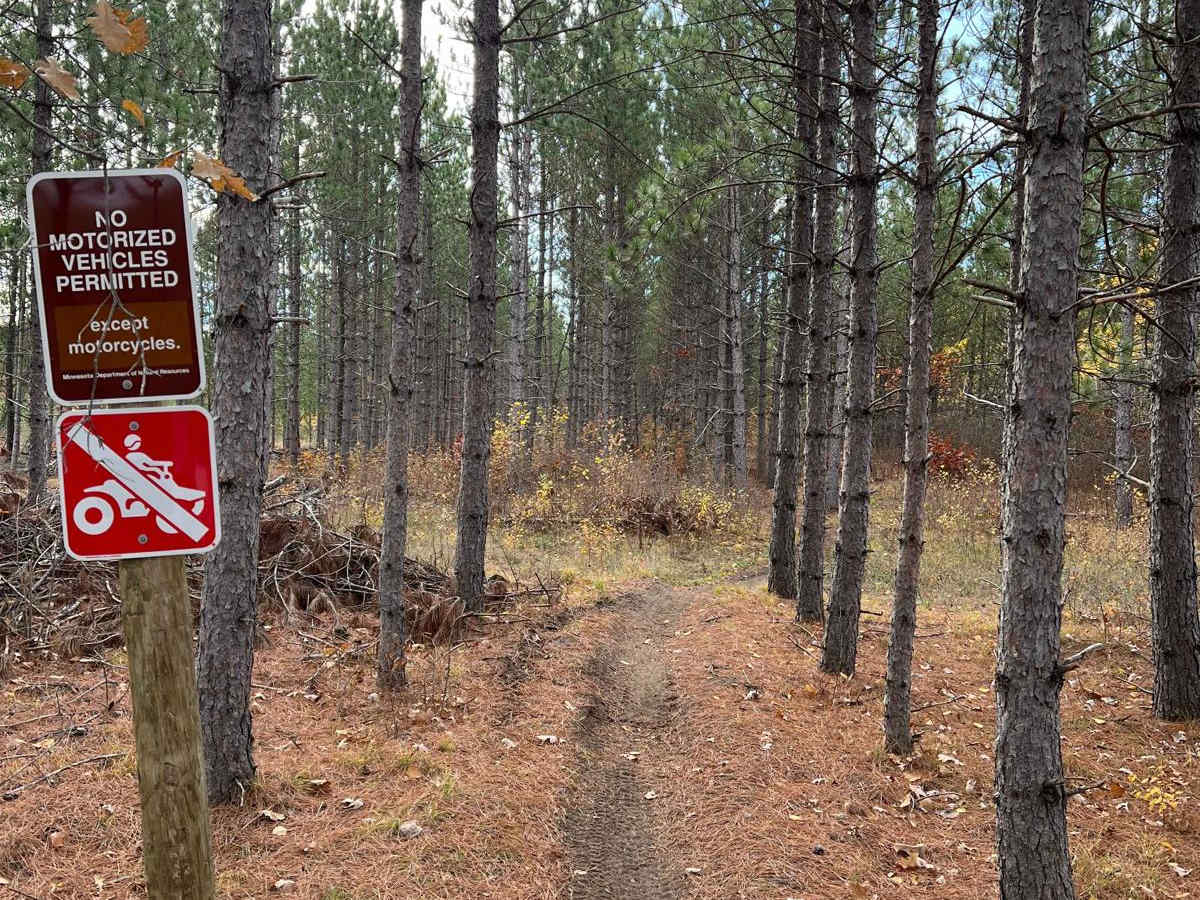 Crow Wing River Single Track photo 3
