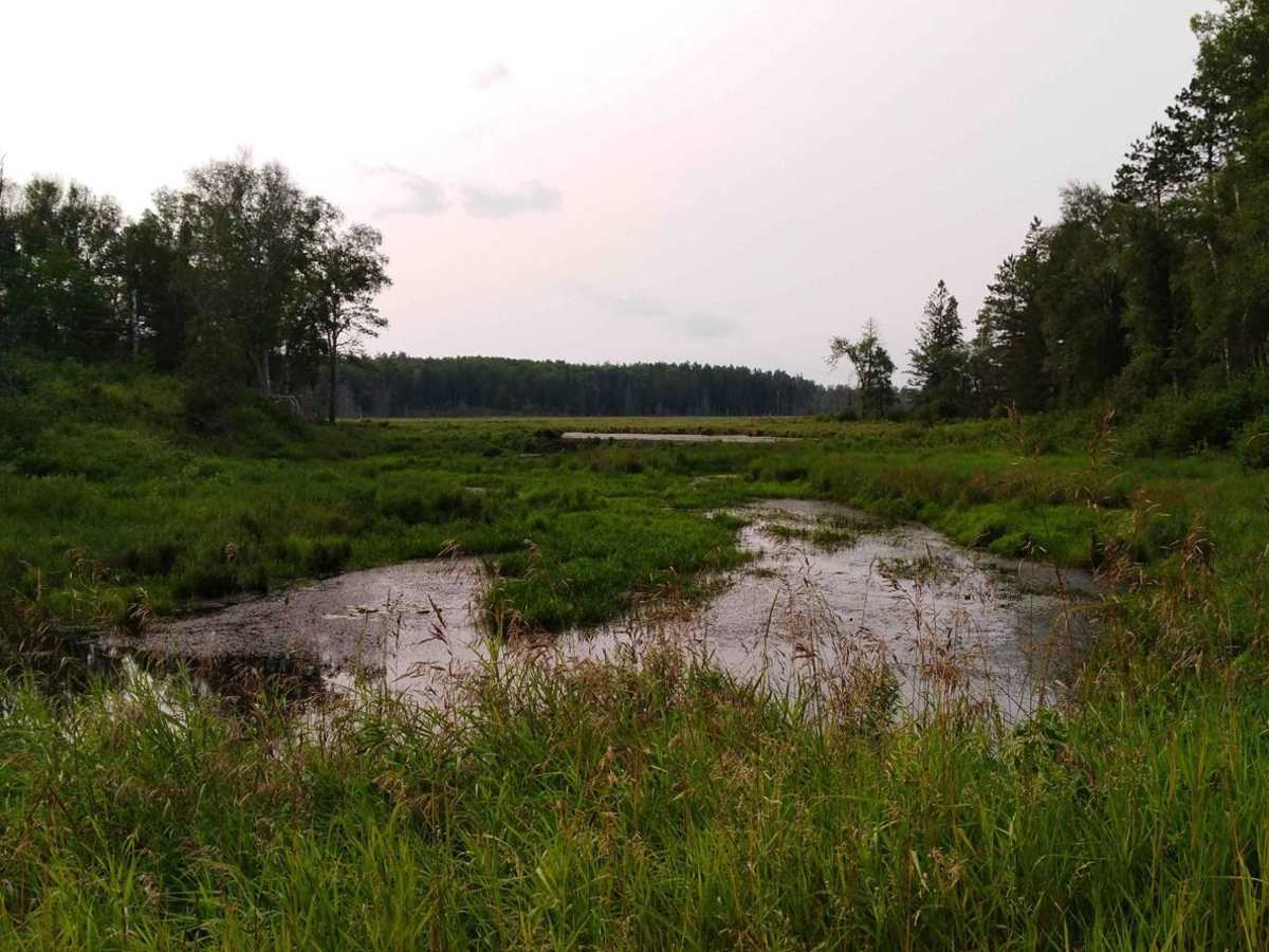 Pikus Forest Road / County Road 58 photo 3