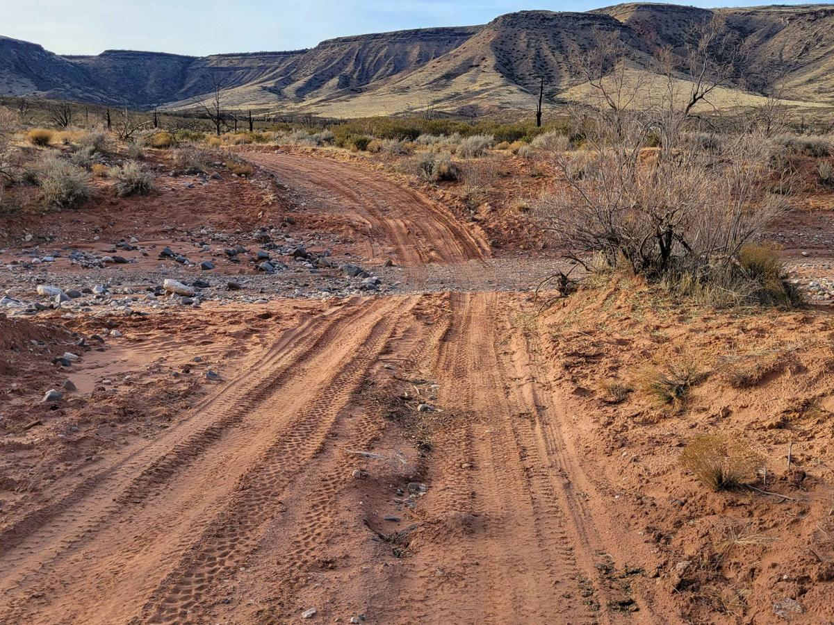 BLM 1606 photo 2