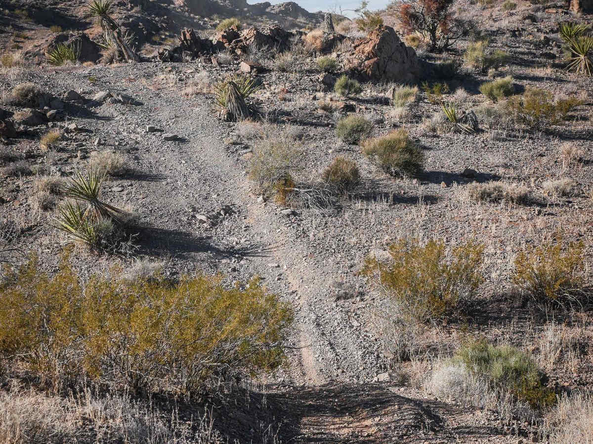 Wash to Ridge Single Track photo 3