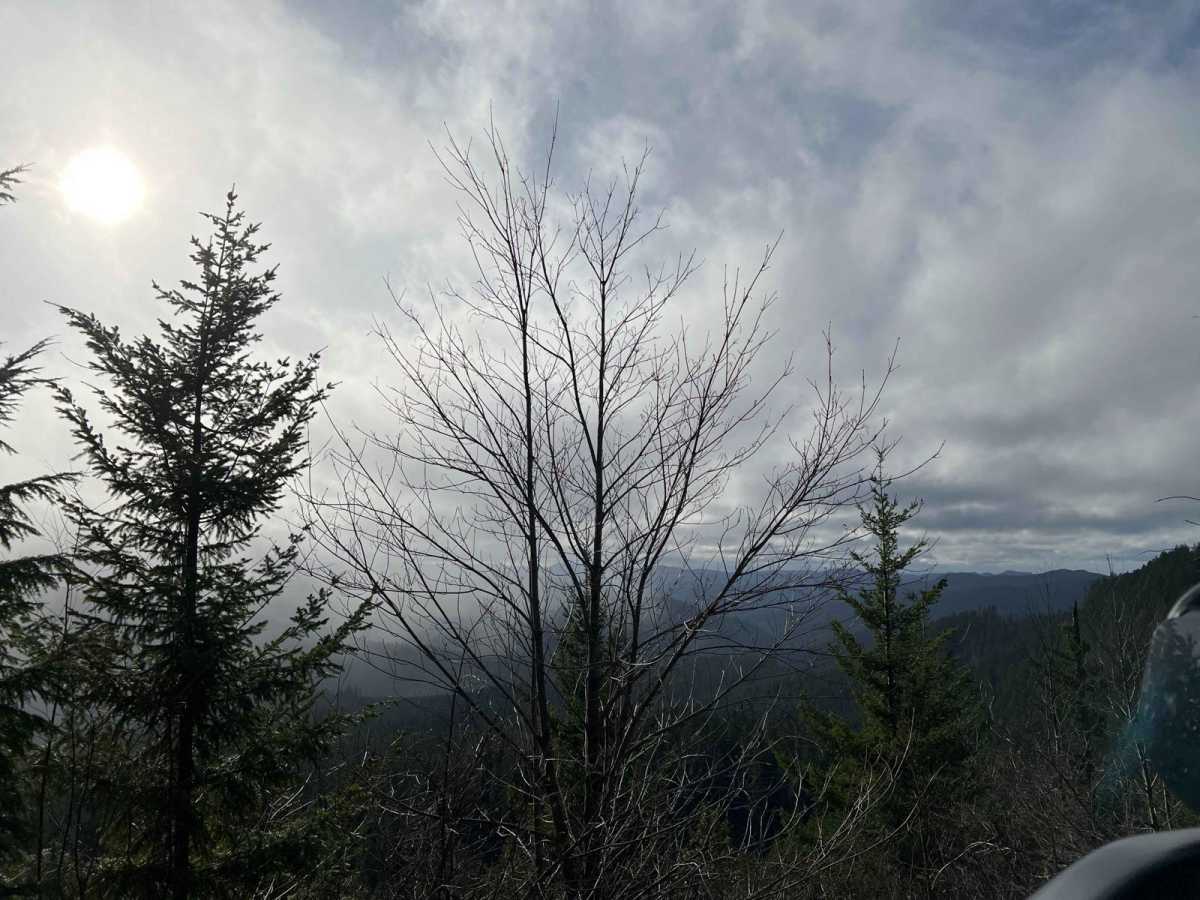 Mid Coast Ridge photo 5