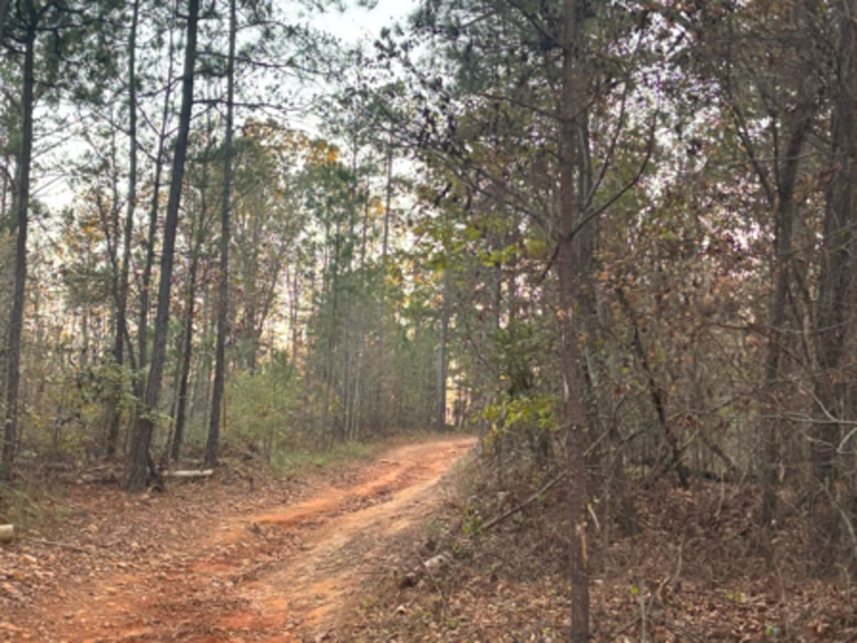 55A trail photo