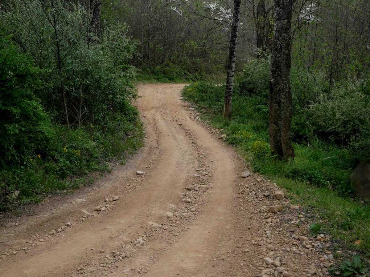 P24 trail photo