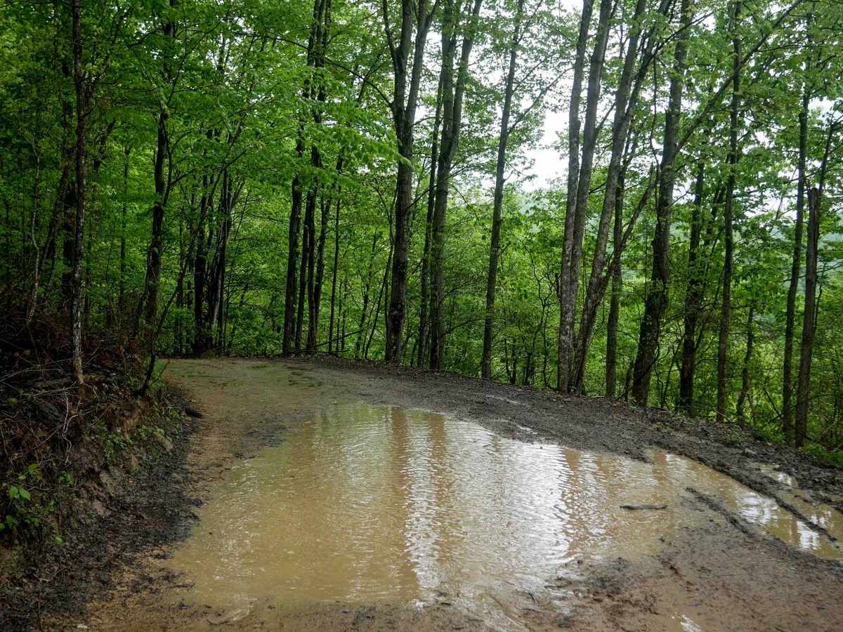 RH 50 photo 4