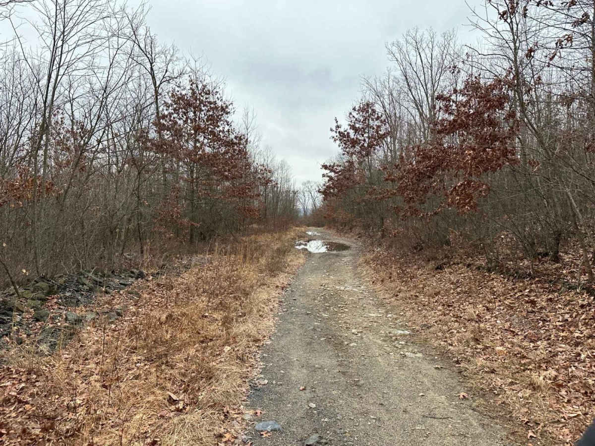 Darkwater 55 photo 3