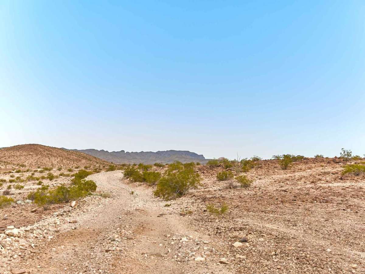 Golden Harp Mine photo 5
