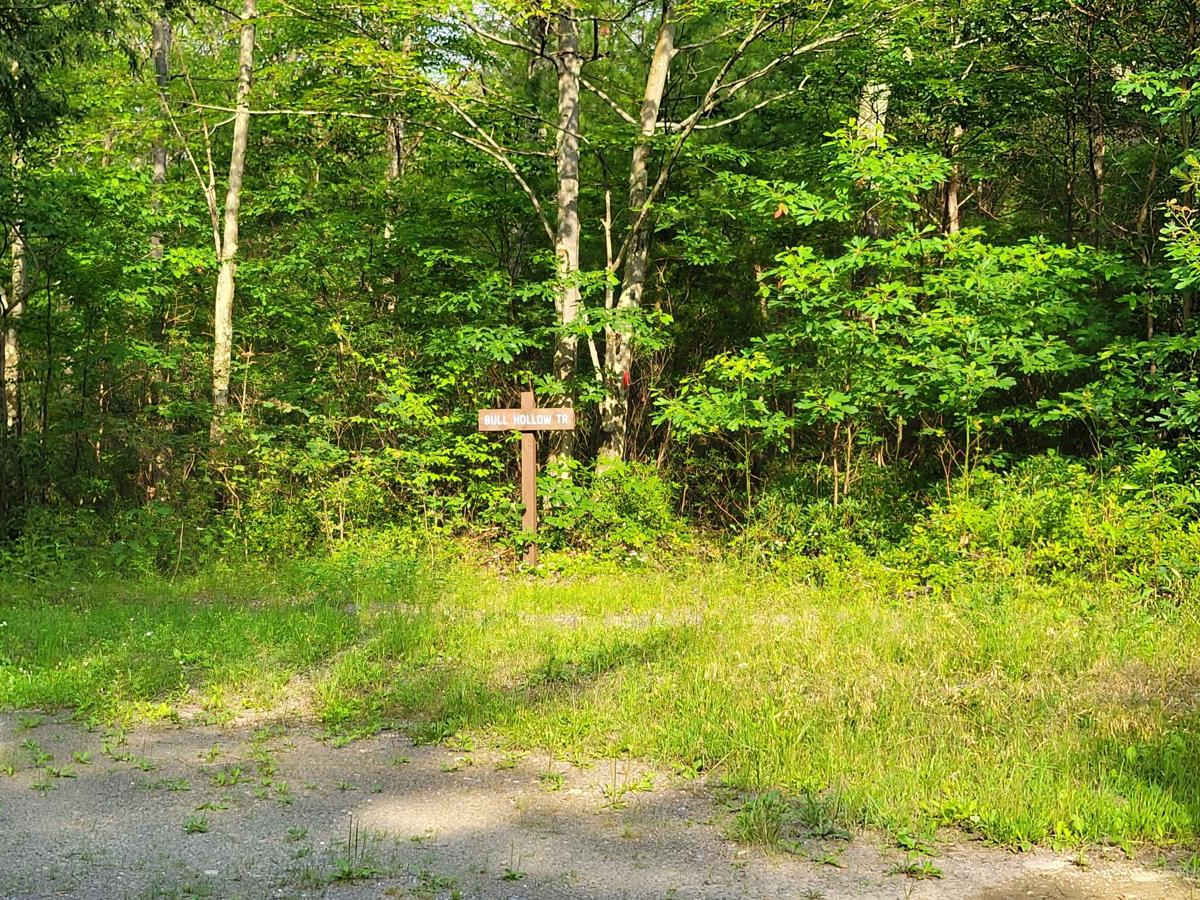 Red Ridge photo 2