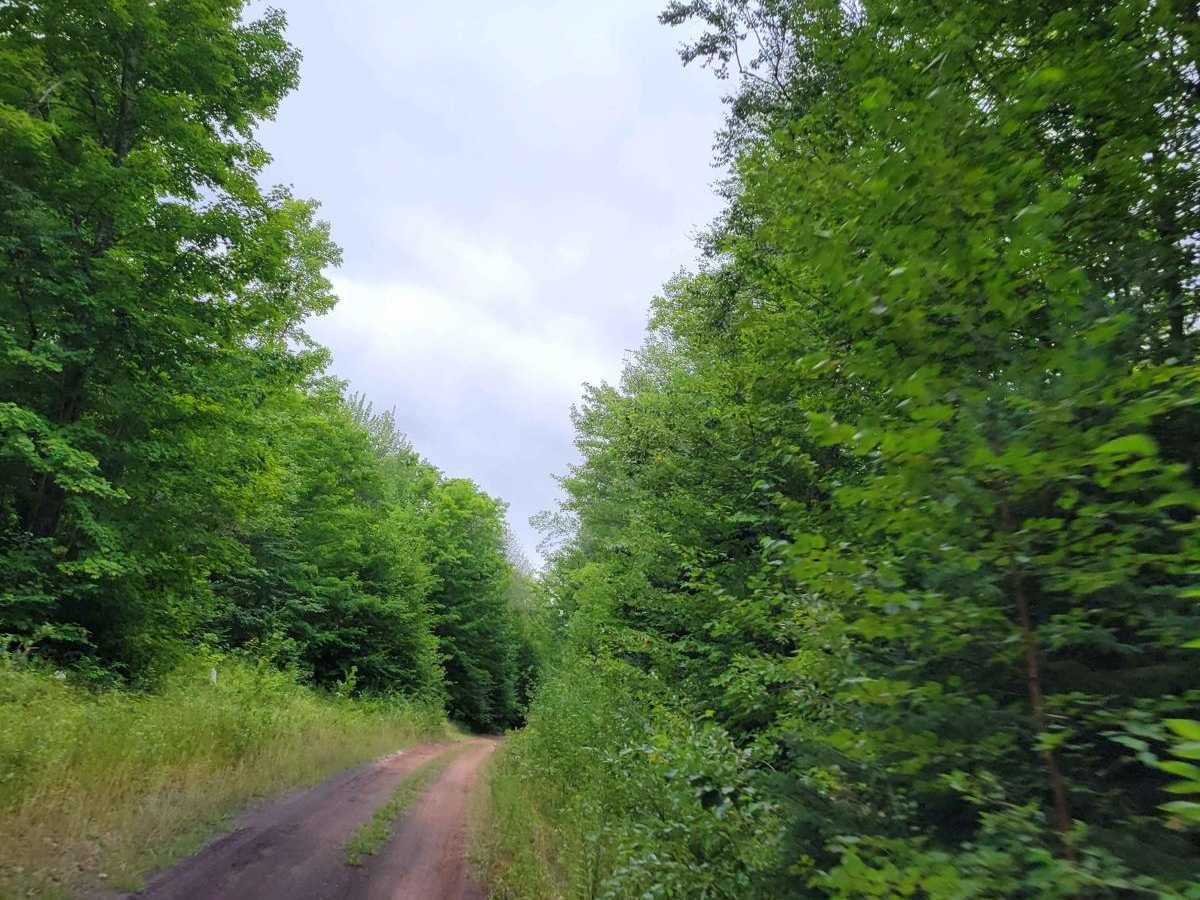 Keweenaw State Trail Segment 2 photo 4