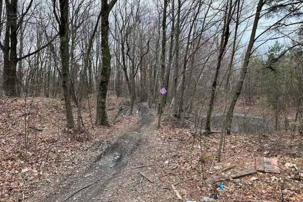 Burma Single Track 25