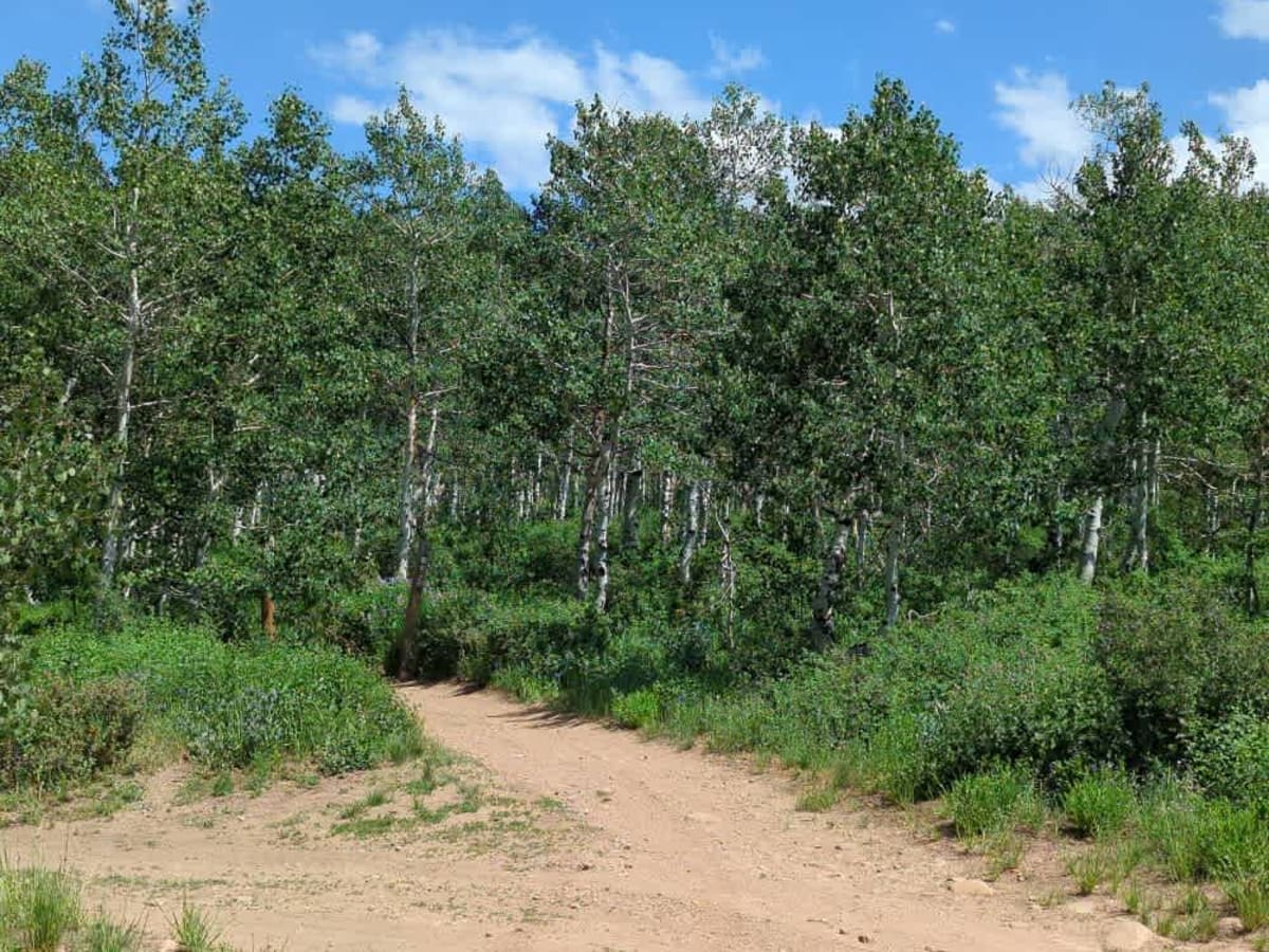 Dry Bread Hollow ATV photo 6