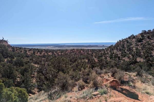 Nephi Pasture Road Offshoot