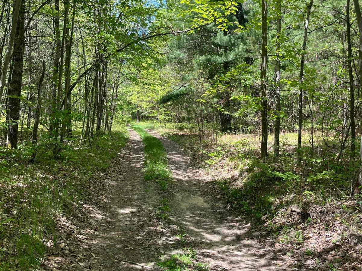 Cadillac Pathway photo 4