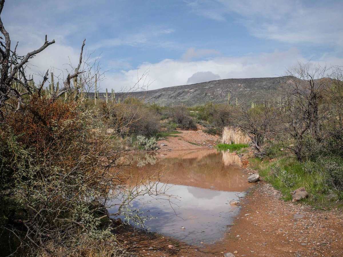 Shoemaker Spring photo 4