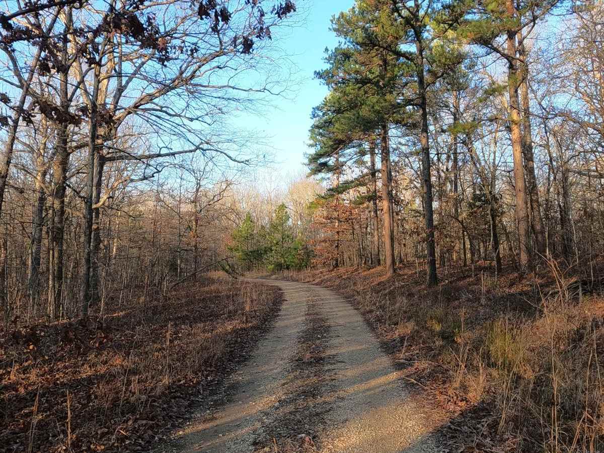 Hematite Tower Road - FS 310 photo 5