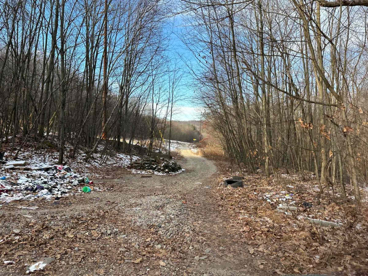 Locust Gap 18 photo 2