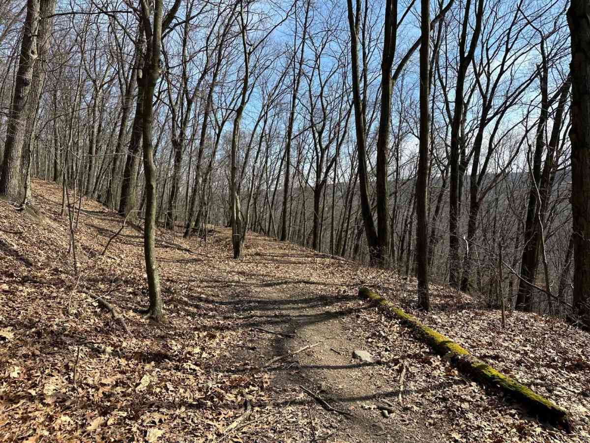Ashland 14 photo 5