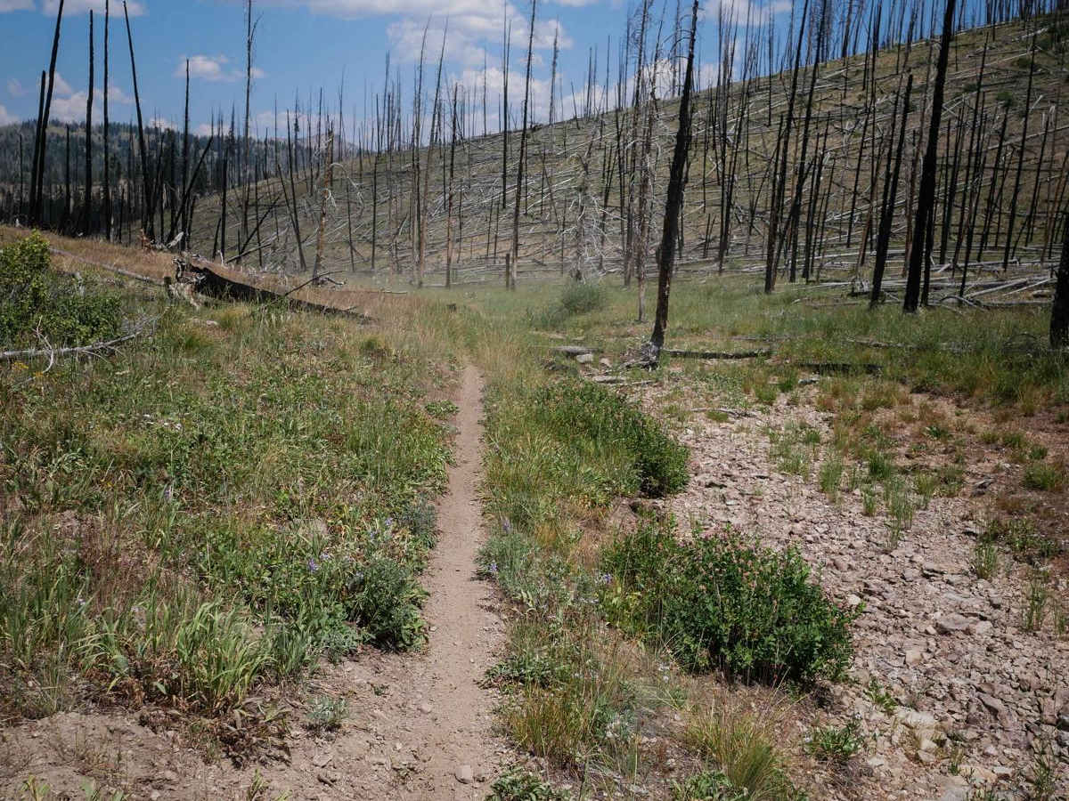 Little Basin Cutoff photo 4