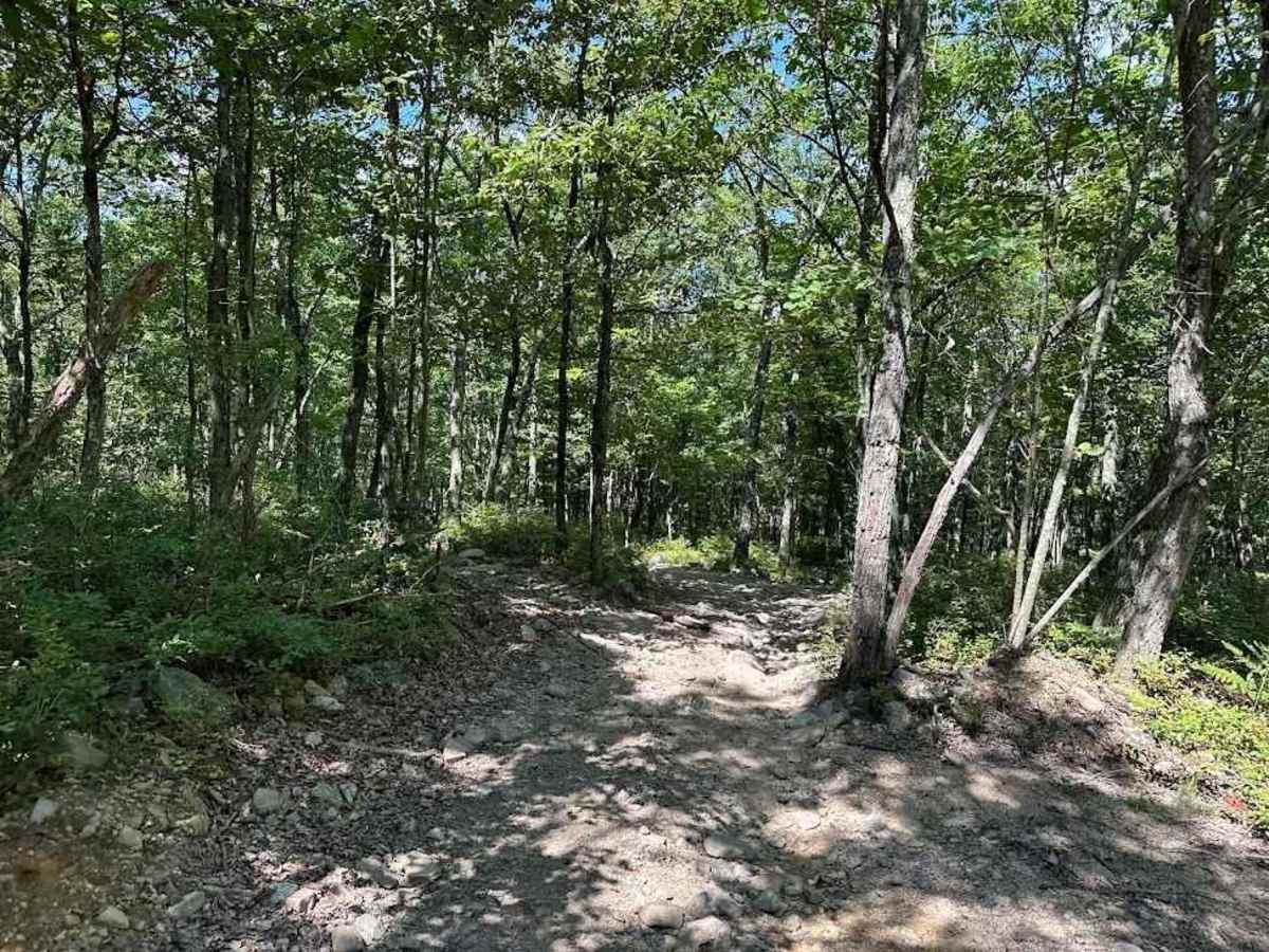 22 Blue trail photo