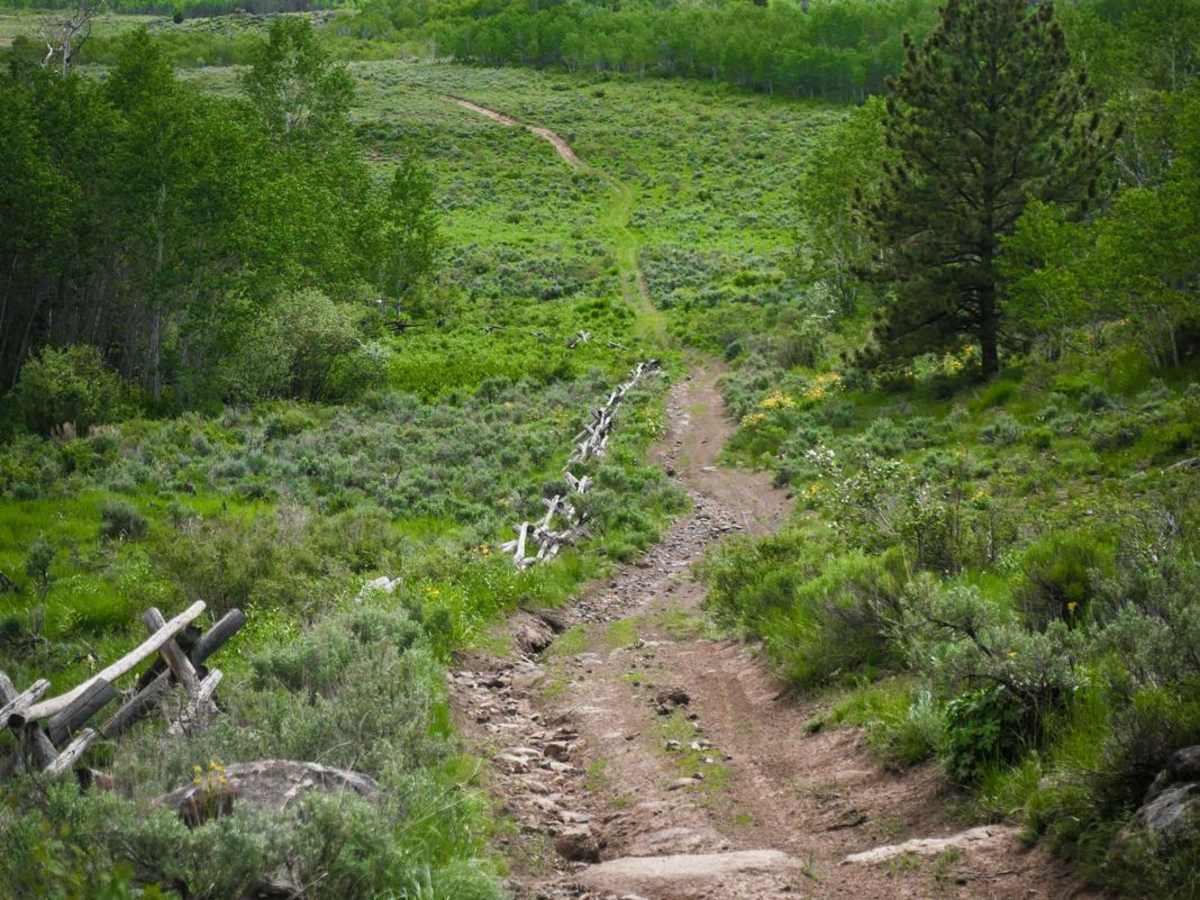 Electric Spring ATV photo 5