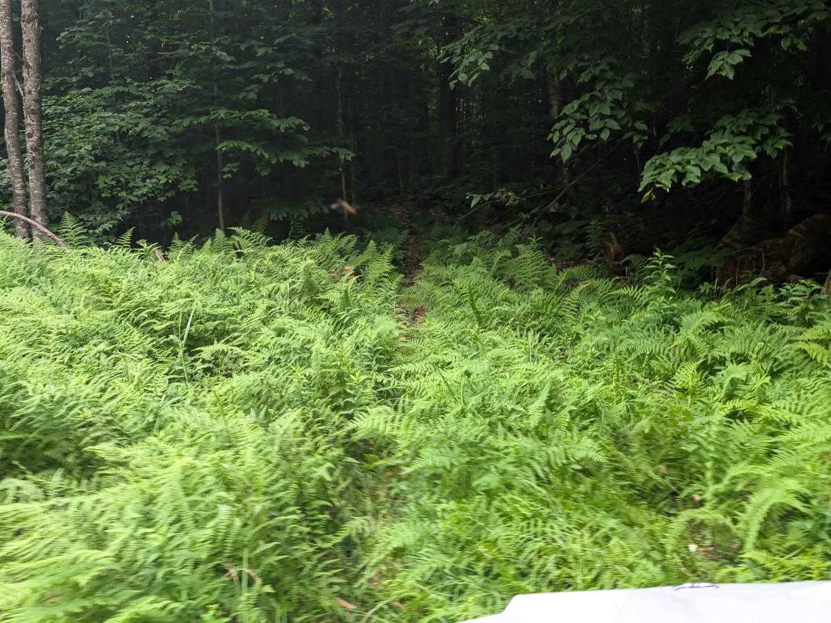 Albert Marsh Hill Road photo 2