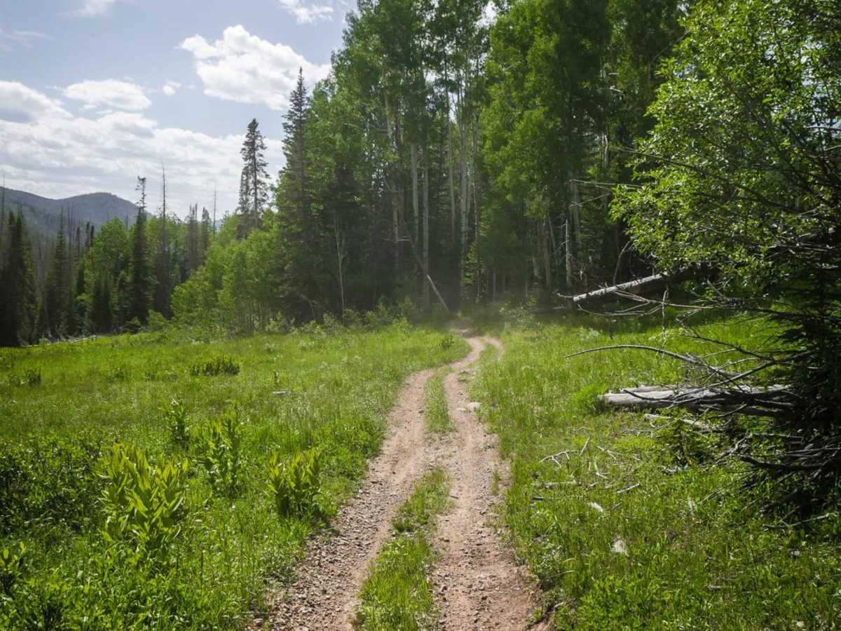 Farwell Mountain ATV Trail photo 2