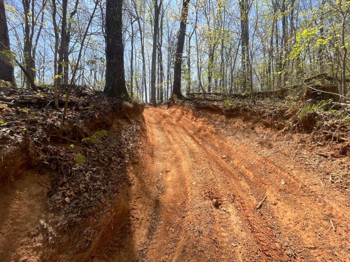 Beasley Knob photo 5