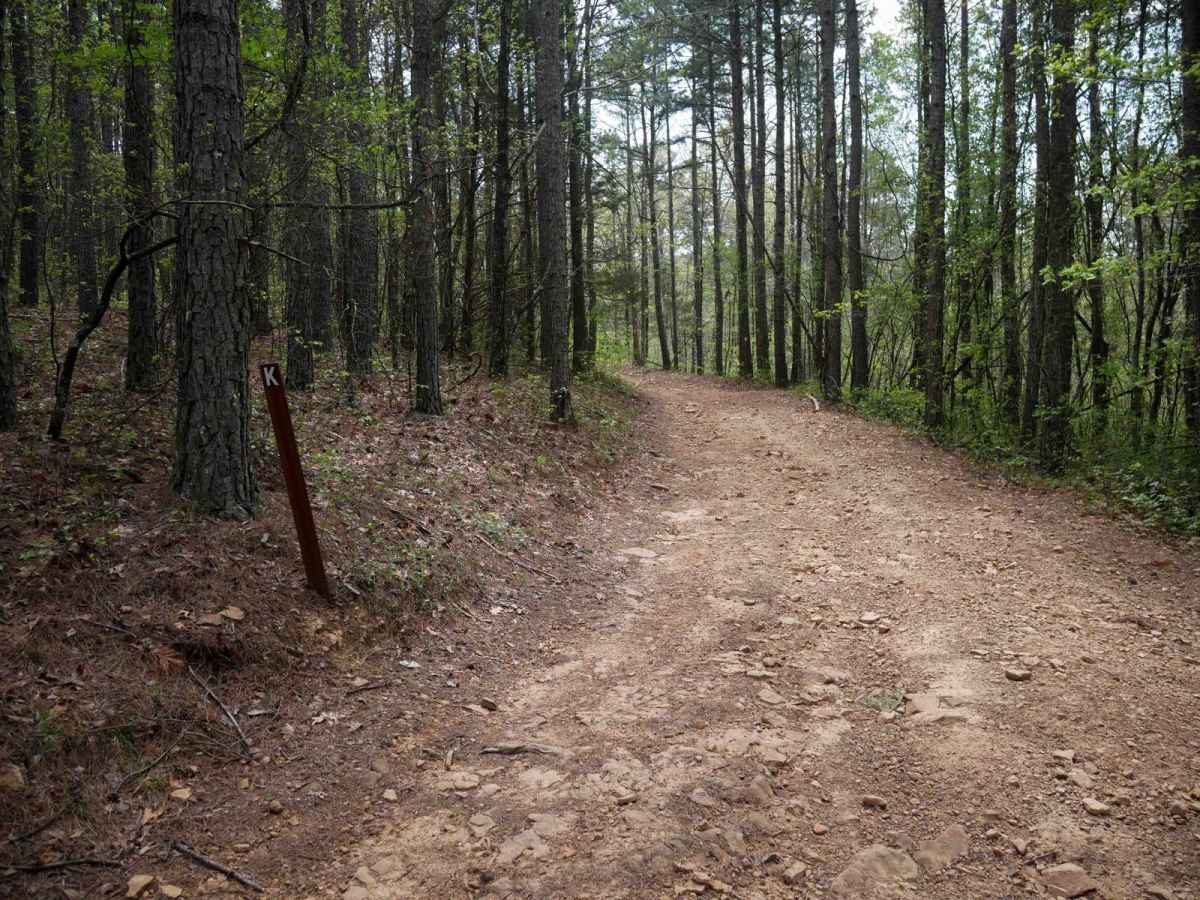 Black Oak Ridge Spur South photo 4