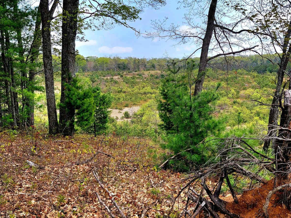Afton Area Trail photo 4