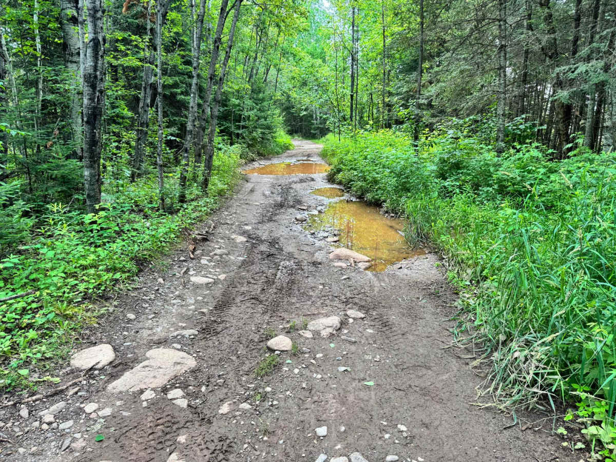 Mud Run Bypass photo 6
