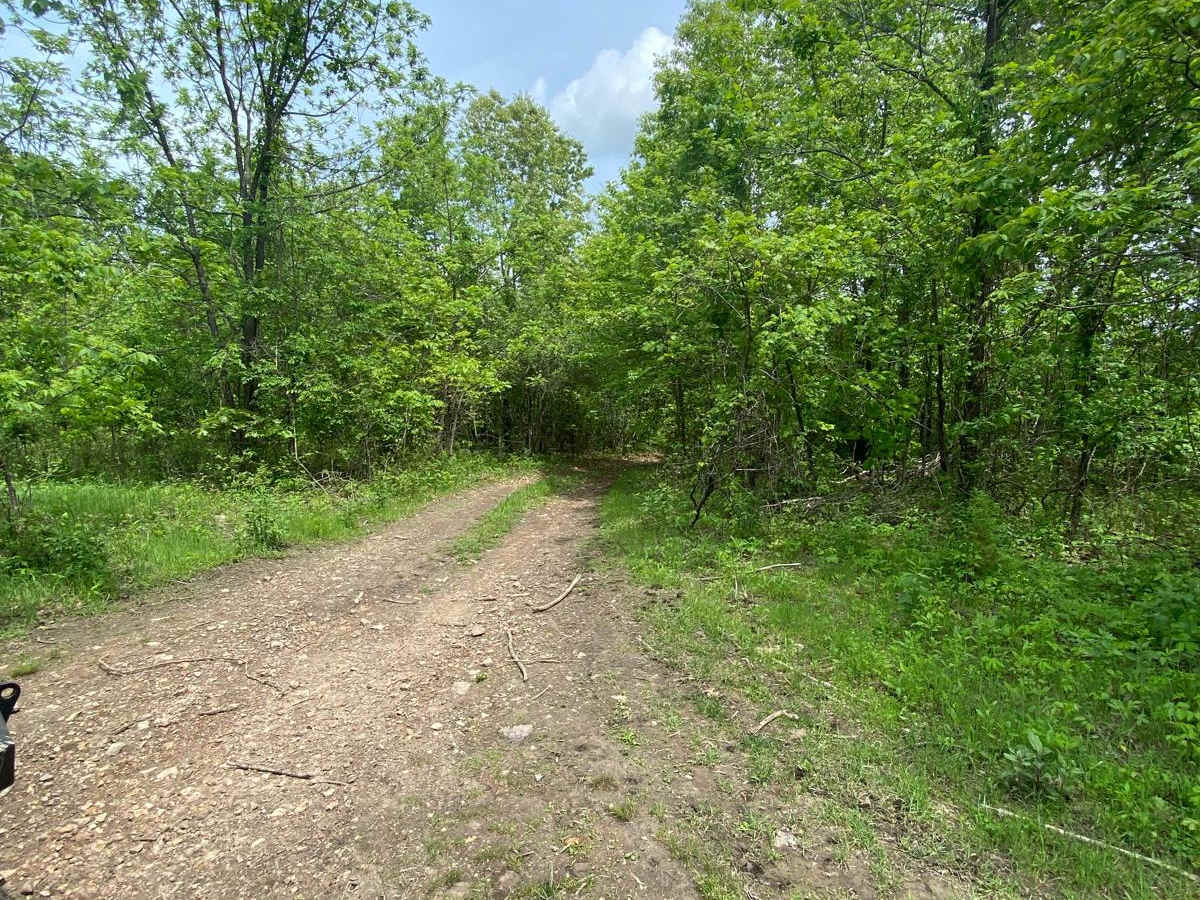 Opossum Run photo 5