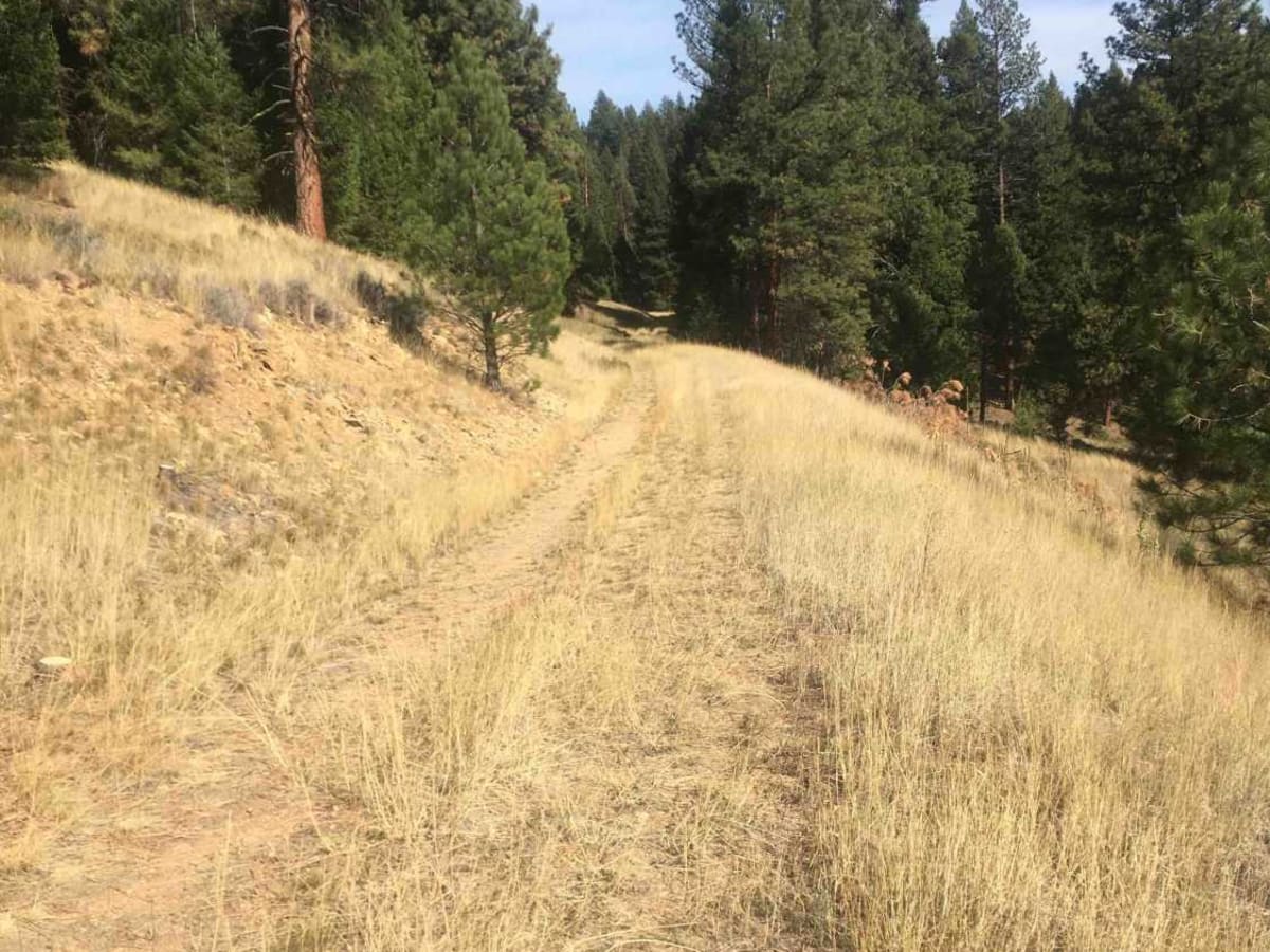 Tepee Creek- 13313 (Southern Portion) photo 3