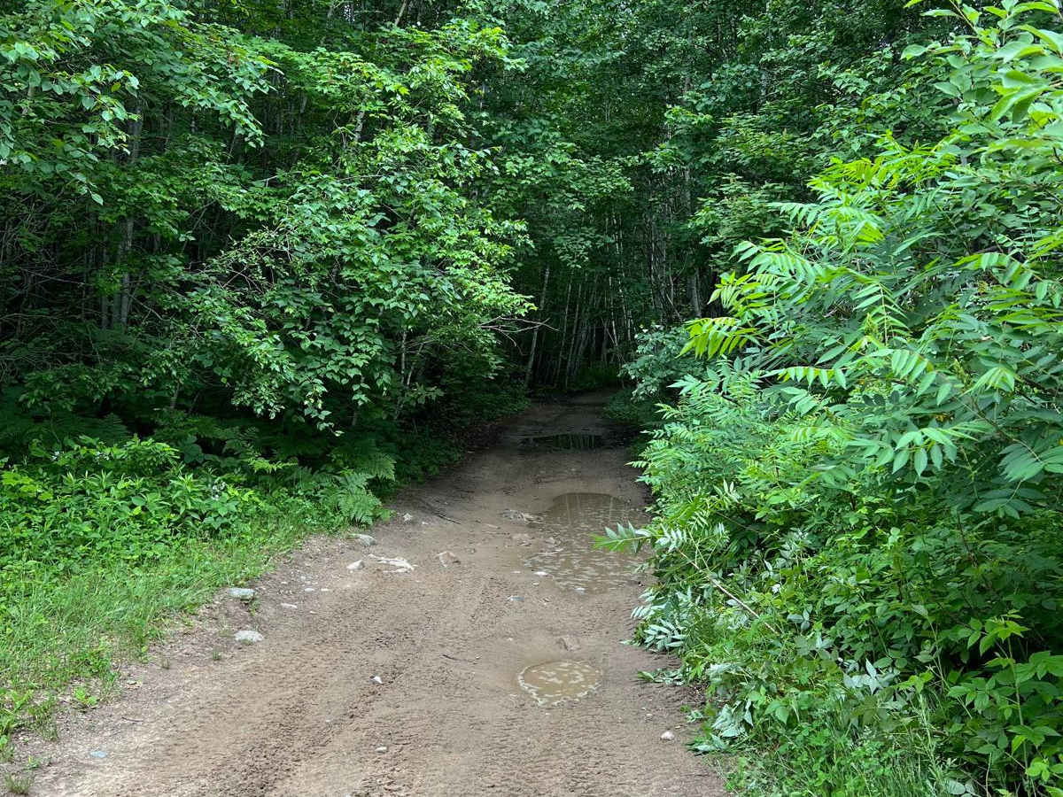 Round River Drive Western Loop Cut Through photo 5