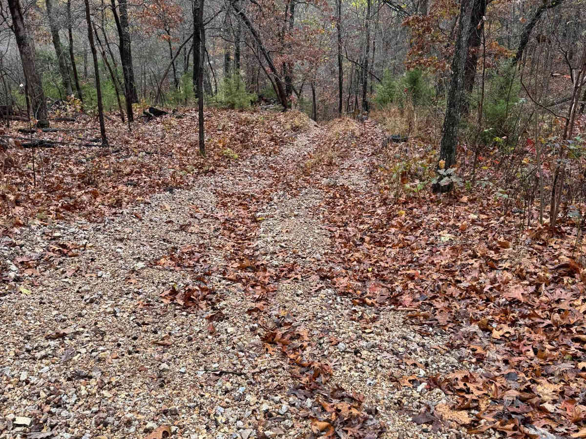 Red 85 trail photo