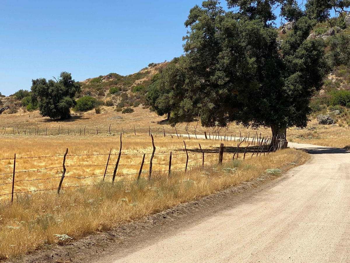 Old El Compadre Loop photo 5