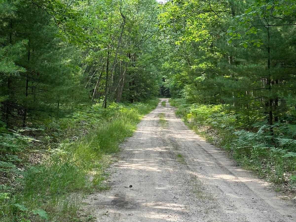 Turtle Lake Trail photo 3