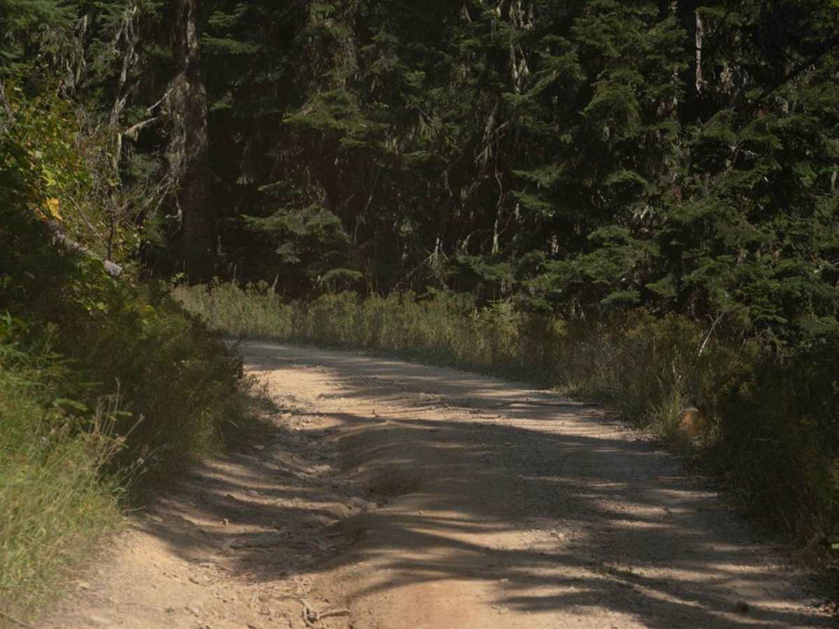 Crooked Ridge - FS 258 photo 2